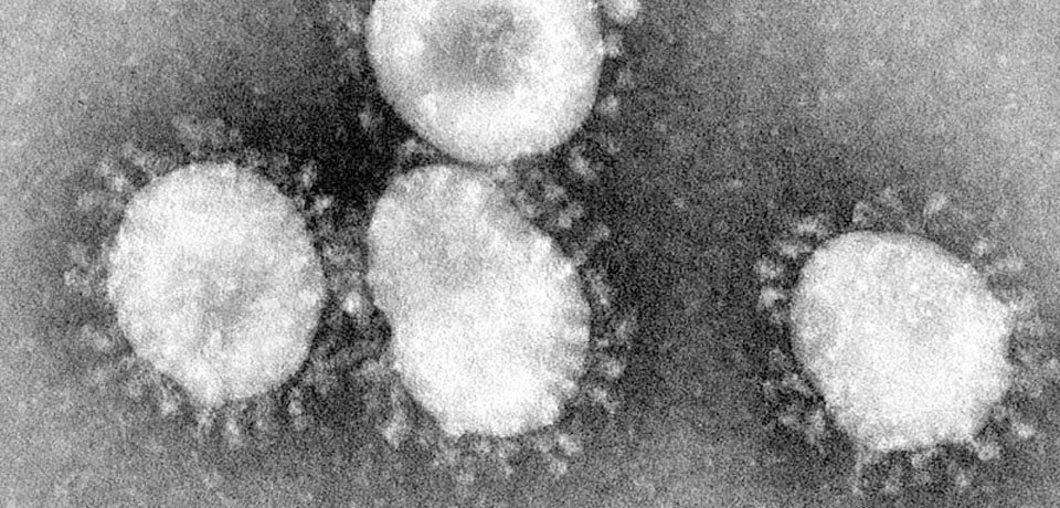 Coronavirus