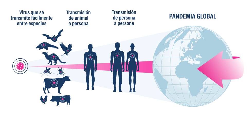 pandemia global vesismin